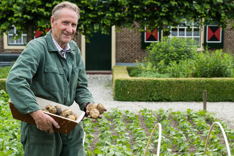 Een man met zijn zelf geoogste aardappelen